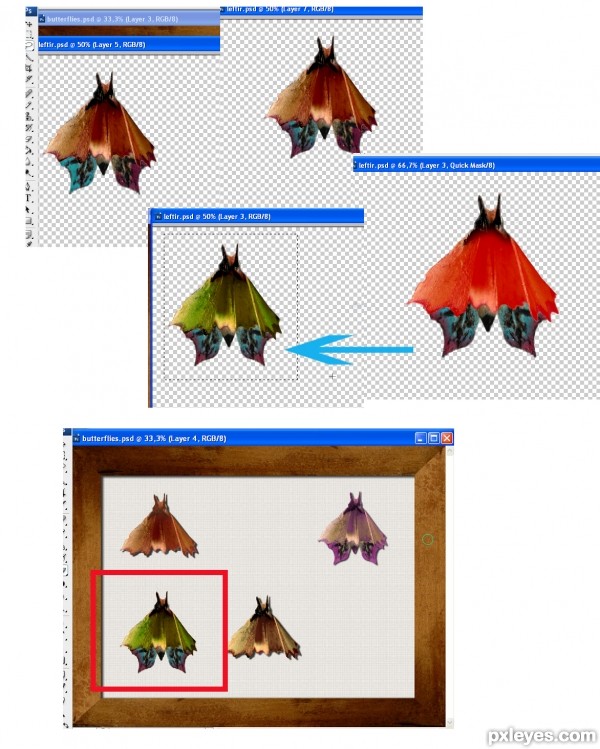Creation of Butterfly colection: Step 7